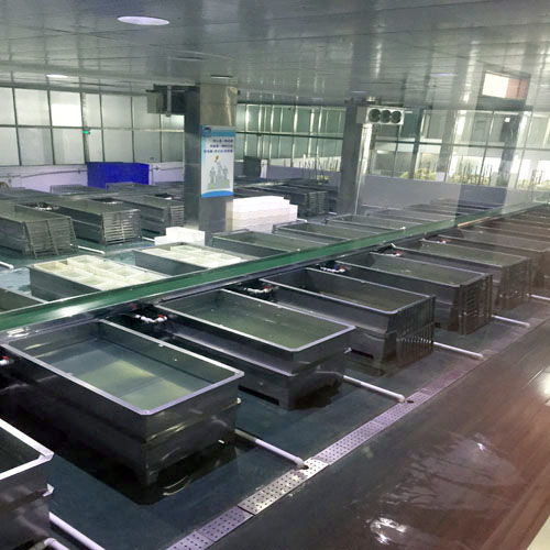 青島高恩機械 泡菜食品機械行業的專業制造者