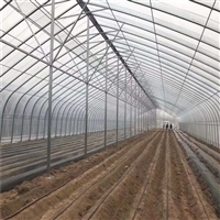 連棟薄膜溫室大棚 結構解析、價格因素與大棚薄膜選型指南